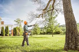 Best Emergency Tree Removal  in Patterson Tract, CA